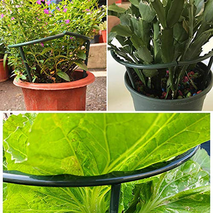 Mwellewm Plant Stakes Small Plant Supports for Indoor Plants Holder Sticks | 10 Pcs Half Round, Plant Rings, Plastic Cage, Short Stem, Flower Pot Climbing Trellis,for House Vegetable Outdoor 5.7x5.9Inch - size: 5.7 x 5.9inch