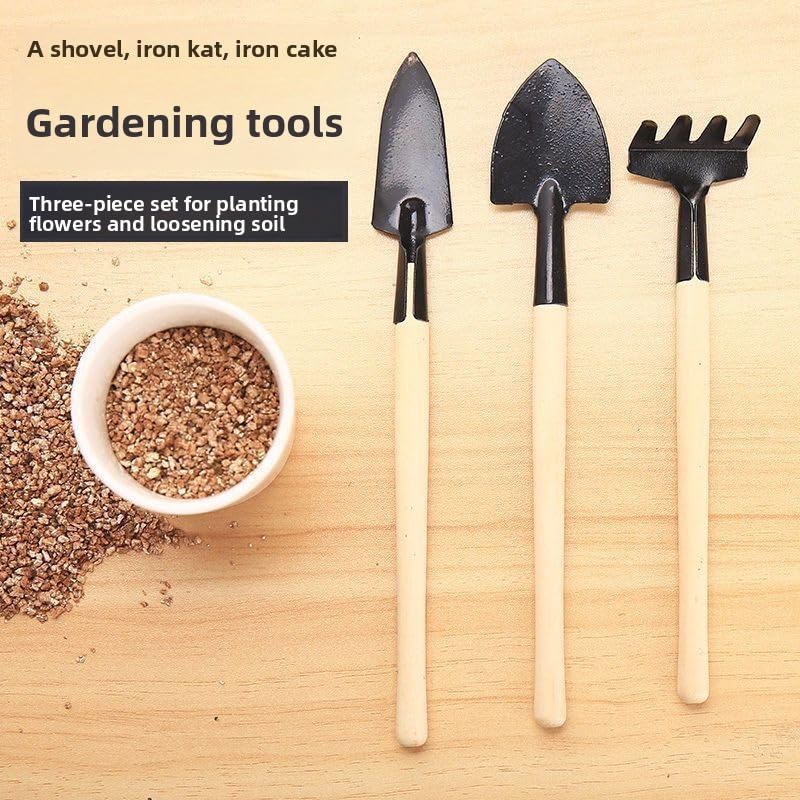Mini Garden Tool Set 3 Piece, Iron Succulent Tools with Wooden Handles, Hand Trowel Transplant Shovel and Rake Kit for Planting, Repotting, Weeding, Indoor Outdoor Gardening
