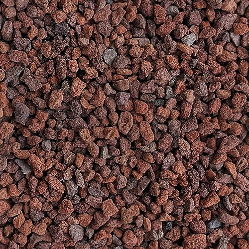 Red Lava Rocks for Plants, Horticultural, 1/4 in, Mined in USA, 2-lb Bag - size: 2-lb Bag