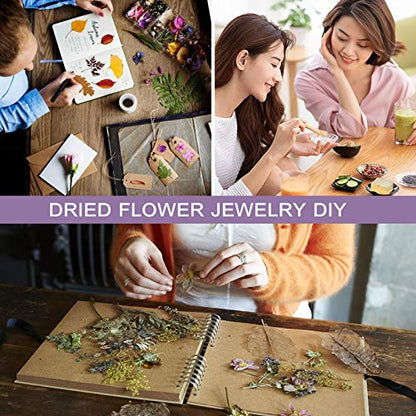 SACATR Dried Flowers, 50 Bags 100% Natural Dried Herbs Kit for Soap Making, Candle, Resin Jewelry Making, Bath, Nail - Include Rose Petals, Rosebuds, Lilium, Jasmine, Don't Forget Me and More - color: 50 Bags*10g