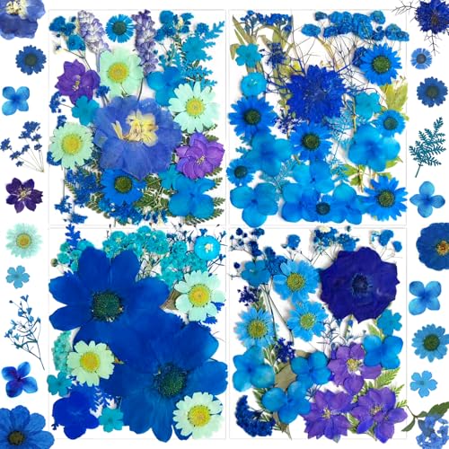 MIKIYA 94Pcs Blue Dried Pressed Flowers for Resin Molds, Assorted Real Natural Bulk Dry Floral Leaves for DIY Art Crafts, Epoxy Jewelry, Candle, Soap Making, Nails Decors Gifts - color: Blue