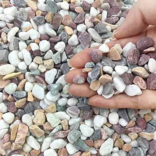 FANTIAN 2 lbs Pebbles for Indoor Plants, 3/8 inch Pea Gravel, Mixed Color | Decorative Polished Stones River Rocks for Plants, Succulents, Vases, Aquarium, Drainage, Outdoor Garden Landscaping - color: Colorful Gravel