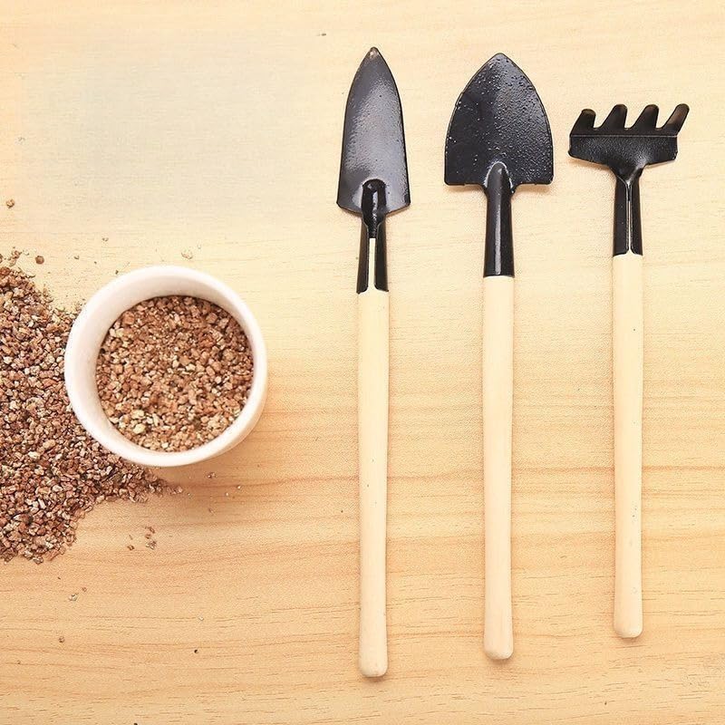 Mini Garden Tool Set 3 Piece, Iron Succulent Tools with Wooden Handles, Hand Trowel Transplant Shovel and Rake Kit for Planting, Repotting, Weeding, Indoor Outdoor Gardening