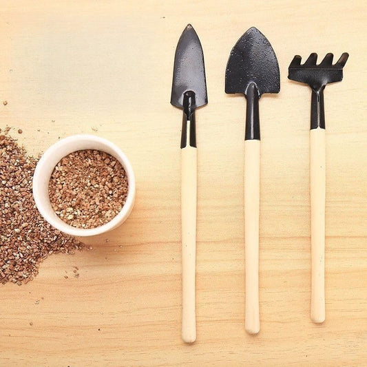 Mini Garden Tool Set 3 Piece, Iron Succulent Tools with Wooden Handles, Hand Trowel Transplant Shovel and Rake Kit for Planting, Repotting, Weeding, Indoor Outdoor Gardening