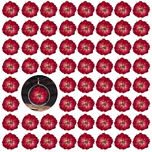 60PCS Dried Pressed Rose Flowers for Resin, Natural Real Pressed Rose Flowers, Dry Flowers for Resin Crafts DIY Jewellery Ornament Candle Making Phone Case Home Decoration - color: Rose Flowers
