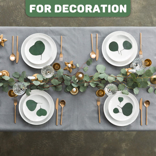 300PCS+ Real Eucalyptus Leaves for Shower - Sukh Dried Eucalyptus Leaves for Shower Fresh Shower Plant eucalipto para decoracion Preserved Flower Petals Decor Aisle Decorations Wedding Ceremony