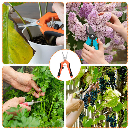 HARFINGTON 3pcs Gardening Scissors 6.5" Straight Stainless Steel Blades Hand Pruner Garden Pruning Shears for Plant Flowers Trimming in Garden, Orange - color: Orange